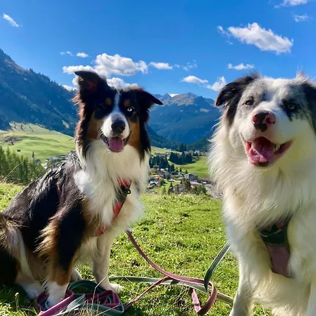 Wiesenhof Appartement *