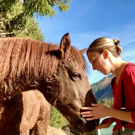 Wiesenhof Appartement Berwang