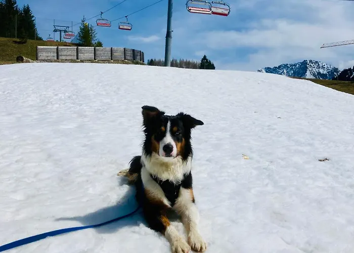 Appartement Wiesenhof