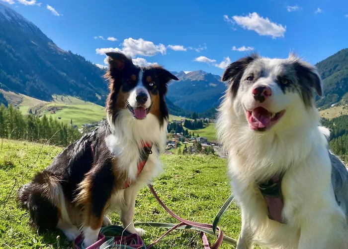 Wiesenhof Appartement *