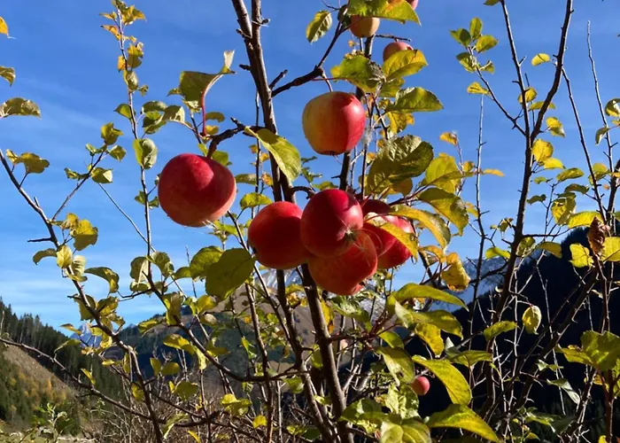 Wiesenhof * Berwang