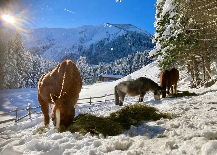 Wiesenhof Appartement